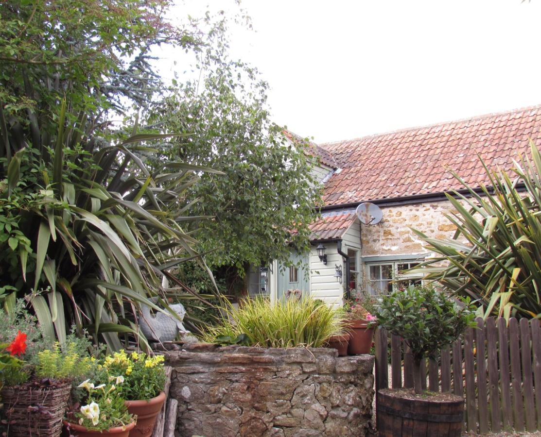 Chiddy Nook Cottage Chideock Εξωτερικό φωτογραφία
